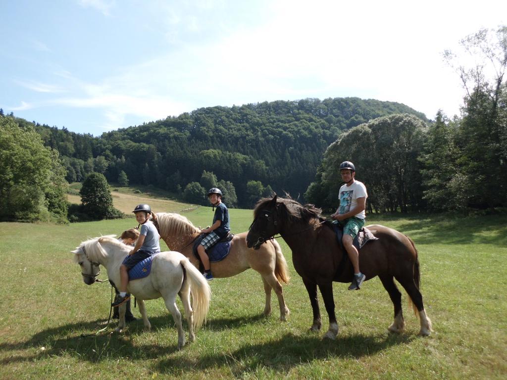 Green Valley Park Starkov  Екстер'єр фото
