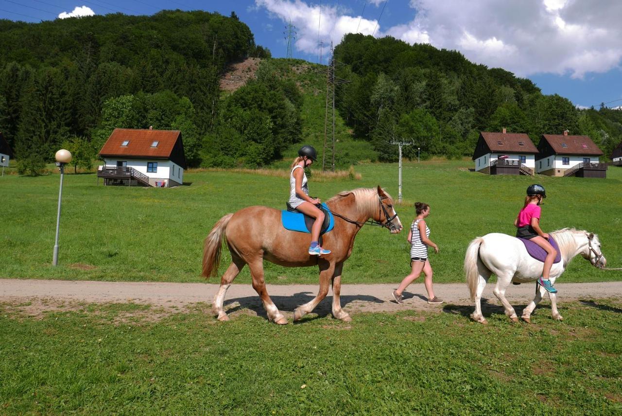 Green Valley Park Starkov  Екстер'єр фото